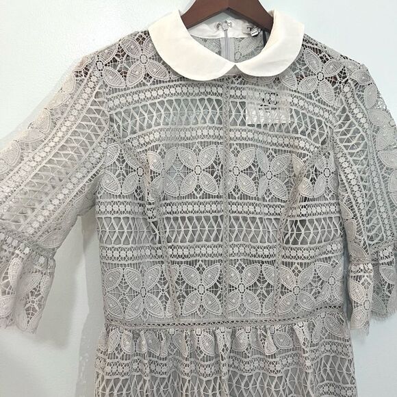 NWT ASOS True Decadence Gray Lace Peter Pan Collar Midi Dress Formal 10 TALL - Picture 6 of 12